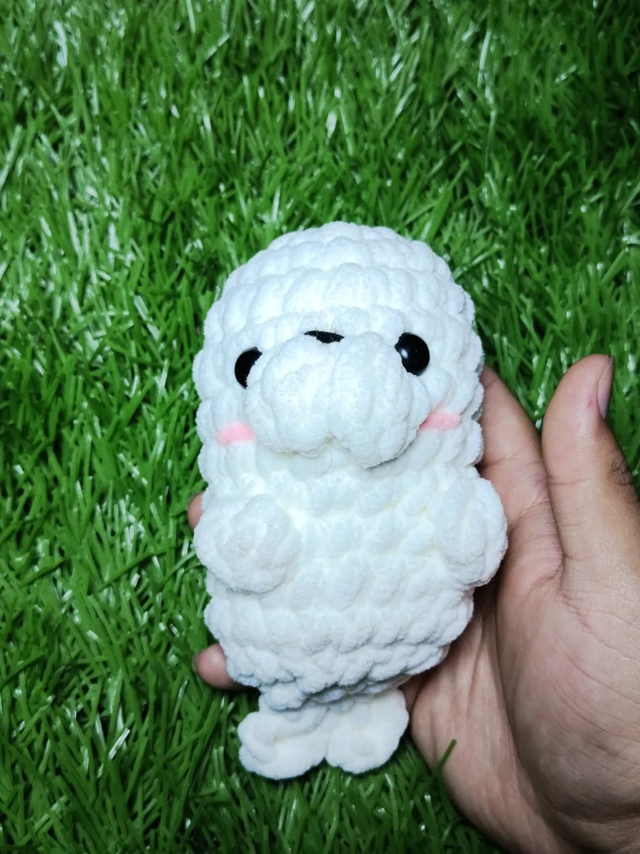 Foca blanca mediana