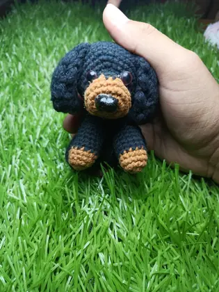 Cocker negro