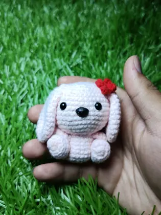 Conejo blanco con lazo
