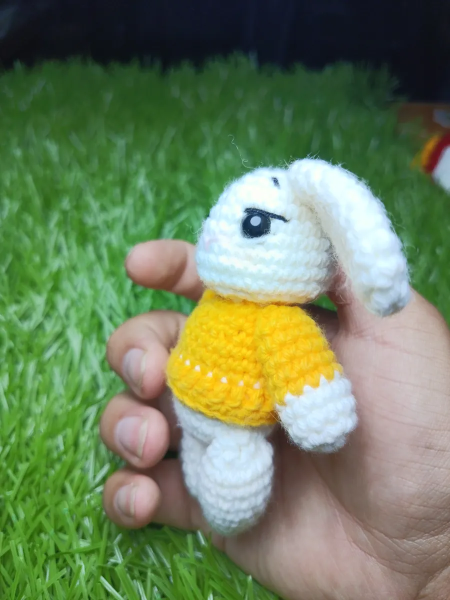 Conejo ropa amarillo