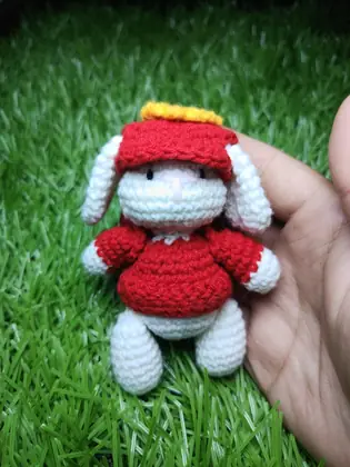 Conejo ropa roja