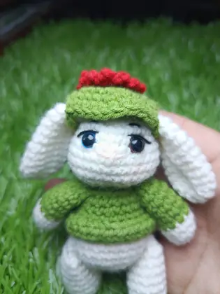 Conejo ropa verde